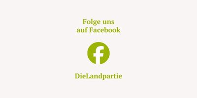 Neuigkeiten und Einblicke