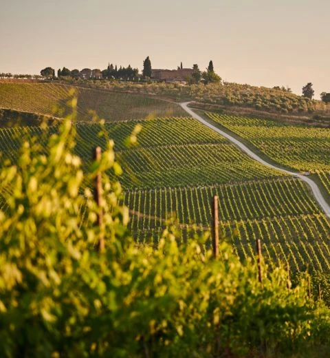 Italien: Südliche Toskana & Maremma