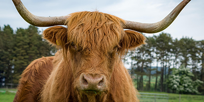Schottland – Der Mythos der Highlands