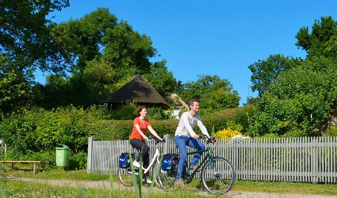 fahrradtasche gepcktrger e bike 50L E-Bike-Gepcktrgertasche