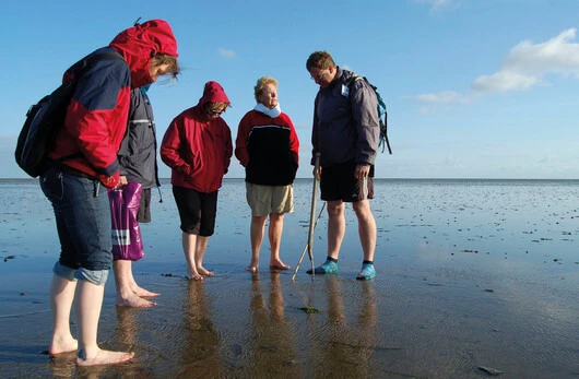 Inselradeln Nordfriesland mit Frühbuchervorteil