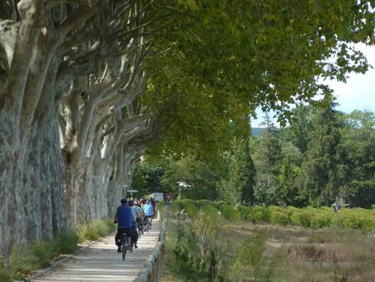 Provence per Pedale mit der Landpartie