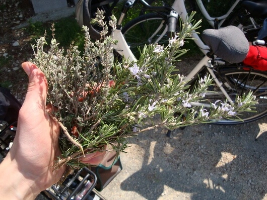 Provence per Pedale mit der Landpartie
