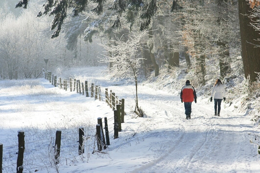 Silvester-Wandern mit der Landpartie
