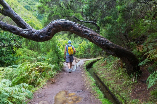 Wanderreisen Madeira und Sizilien neu bei der Landpartie