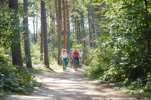 Radpartie zur Bundesgartenschau 2015
