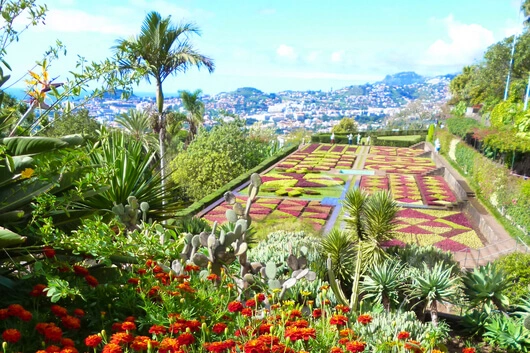 Madeira zu Fuß: Im Farbenmeer der Natur „baden“ gehen
