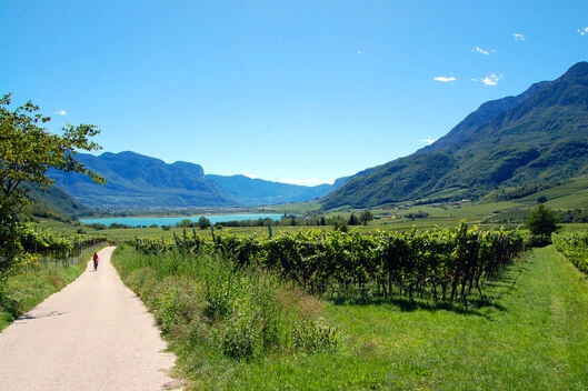 Radfahren oder Wandern für Feinschmecker: Mallorca, Südtirol und Flandern