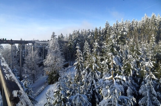 Unter der Sonne oder im Schnee – Jahreswechsel mal anders