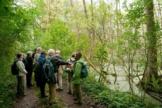 Am morgigen „Tag des Waldes“ zurück zu den Wurzeln der Natur – per Rad oder pedes