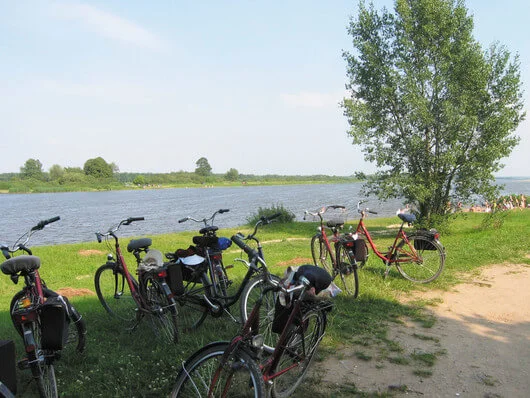 Am morgigen „Tag des Waldes“ zurück zu den Wurzeln der Natur – per Rad oder pedes
