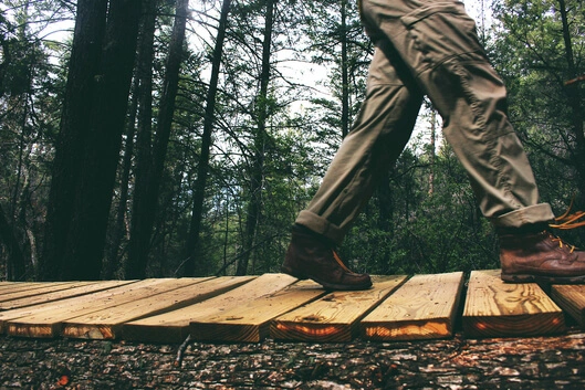 Der Natur auf der Spur - Tag des Wanderns am 14. Mai!
