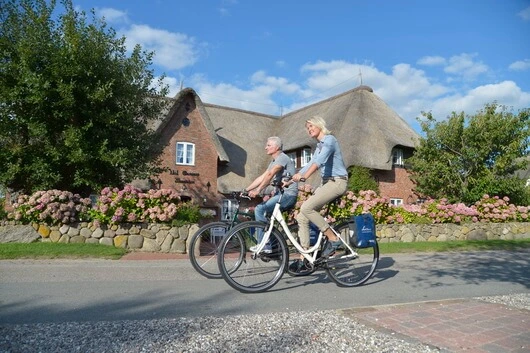 Mit dem Fahrrad auf Föhr, Amrum, Sylt und Lageneß