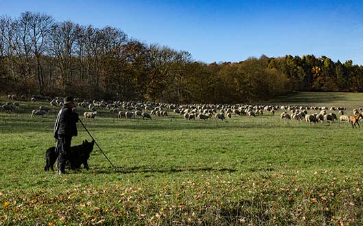 Natur kennenlernen mit der Landpartie – „vor der Haustür“ zwischen Harz und Heide