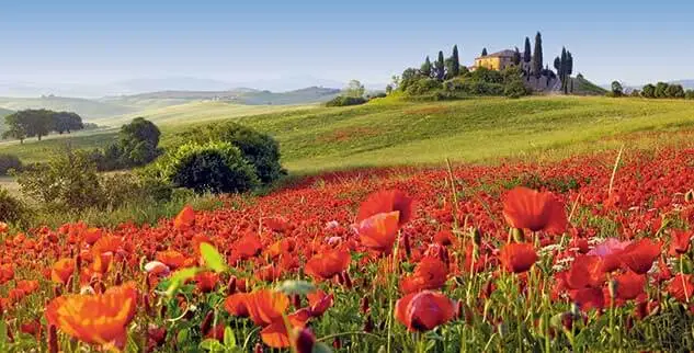 Geführte Radreise Italien - Landschaft in der Toskana