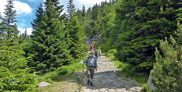 Wandergruppe im Riesengebirge auf einer geführten Wanderreise der Landpartie