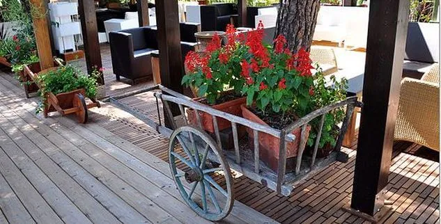 Blumen vor einer Lounge