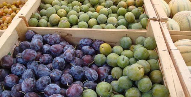 Äpfel und Pflaumen der Provence