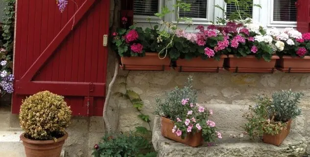 Blumen vor einem Haus