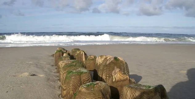 Die Nordseeküste