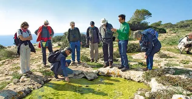 Die Landpartie: Wandergruppe auf Mallorca, Spanien