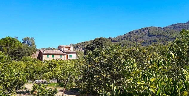 Ländliches Haus auf Mallorca