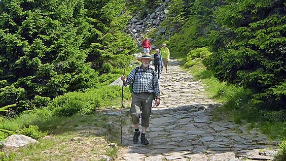 Wanderer im Schwarzwald