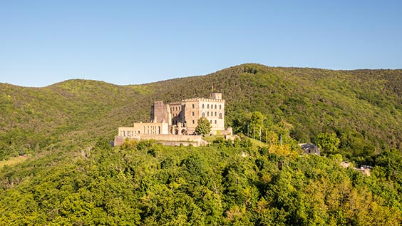 Radreise in der Pfalz - Heidelberg und die Nibelungen | Die Landpartie