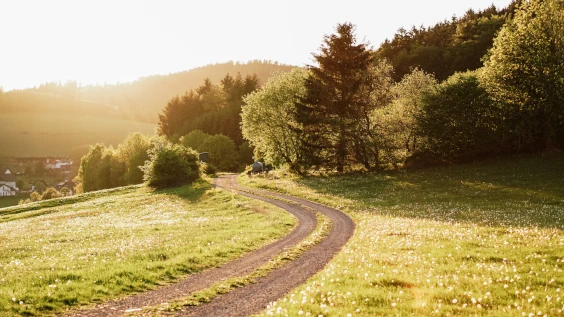 Radweg im Sauerland im Sonnenuntergang