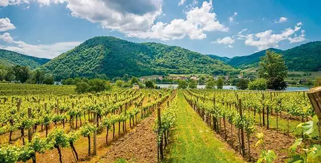 Radreise in den Alpenländern an der Donau