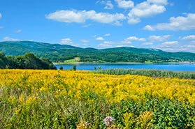 Die Landpartie: Rad- und Wanderreisen in Breslau