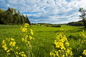 Entdeckungsreise zwischen Harz und Heide | Die Landpartie