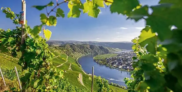 Radurlaub in West Deutschland - Blick auf die Mosel durch Gestrüpp
