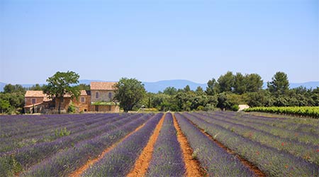 Frankreich als Radreise Region