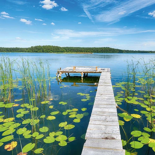Region | Polen