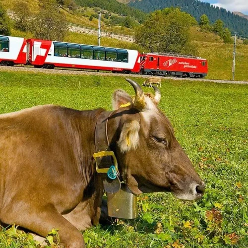 Region | Schweiz & Österreich