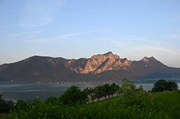 Die Landpartie: Mondsee