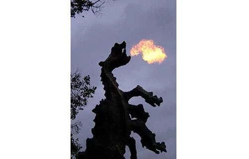 Die Landpartie: Wawel-Drache
