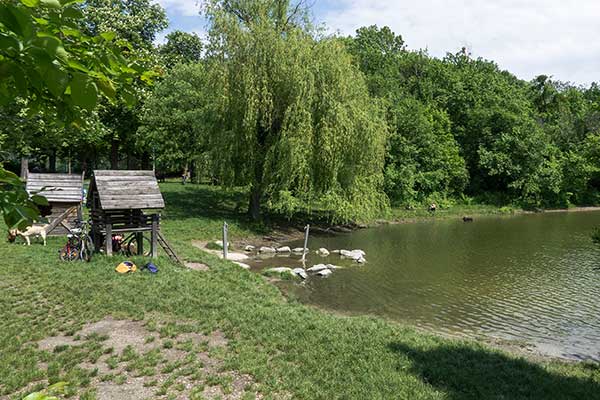 Die Landpartie: Wiener Prater