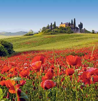 Teaser Italien
